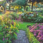 Stonecrop in the Design of Autumn Flower Beds: Varieties and Photos