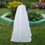 Tips For Hiding Roses For the Winter