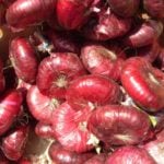 Usual and Unusual Facts About Allium Cepa