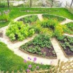 Non-Standard Examples of Kitchen Gardens Design