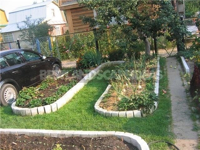 Non-Standard Examples of Kitchen Gardens Design
