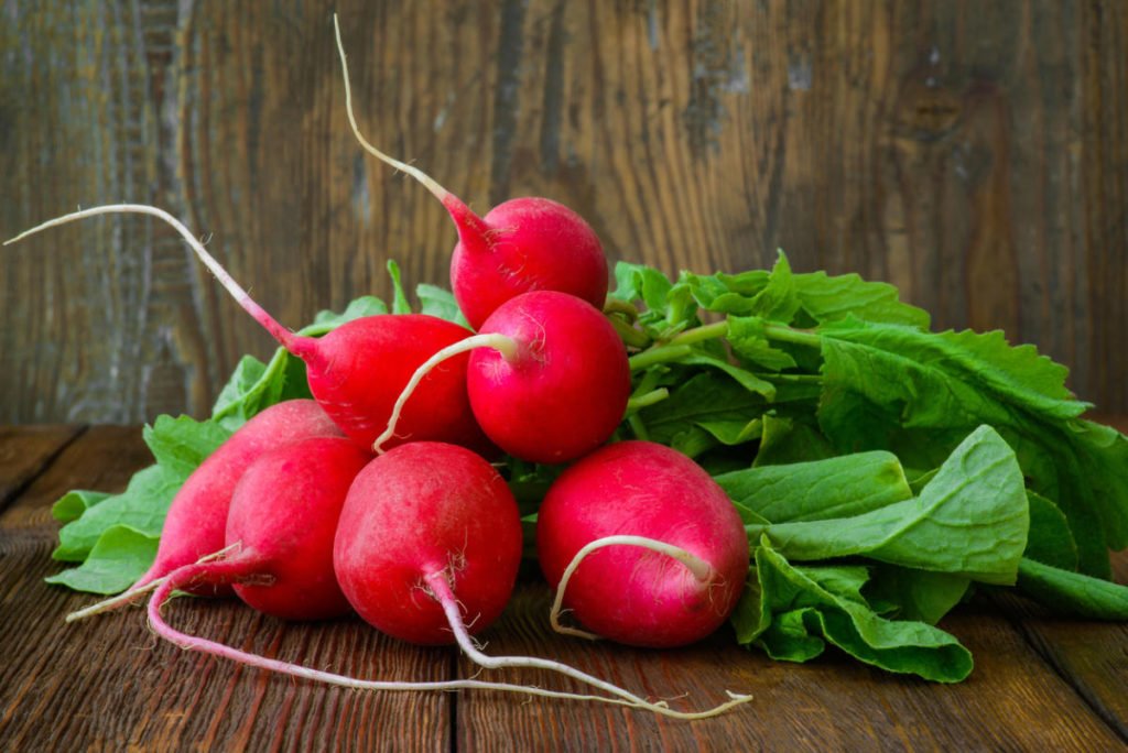 How To Plant And Care For Radishes