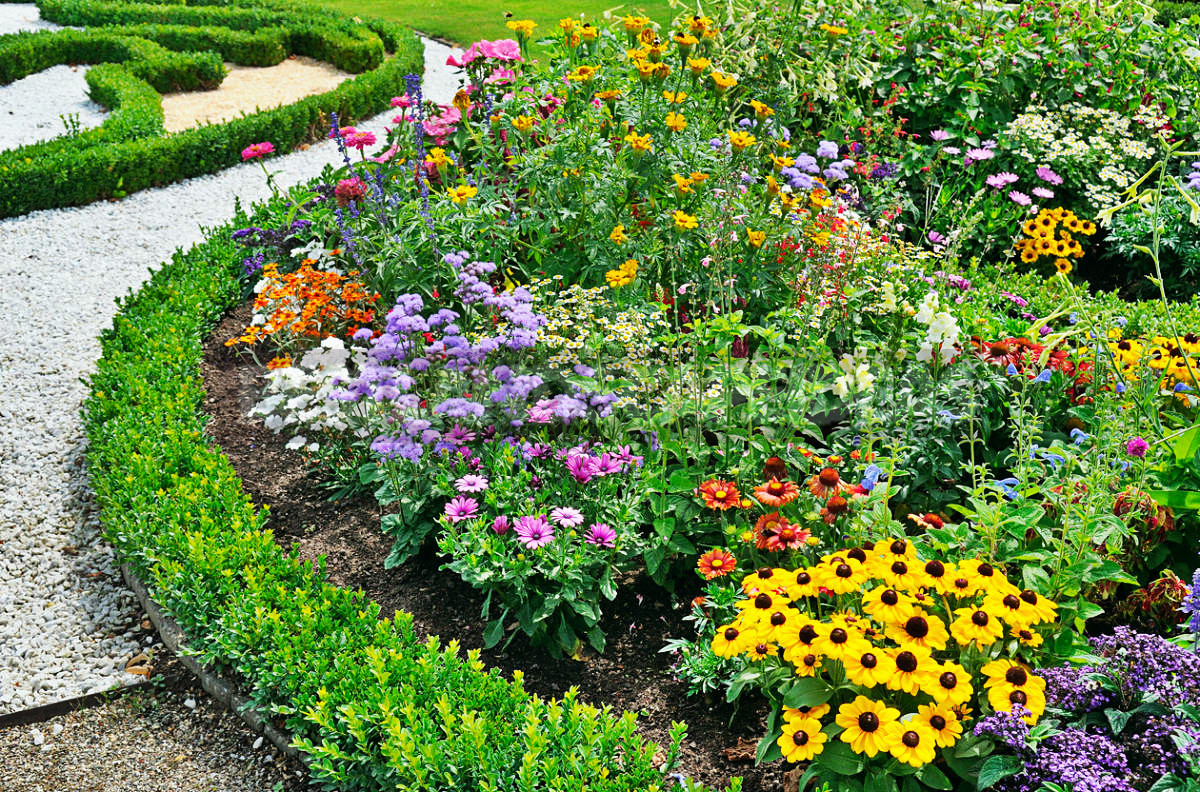 Flowers for Growing on Flower Beds - Best Landscaping Ideas