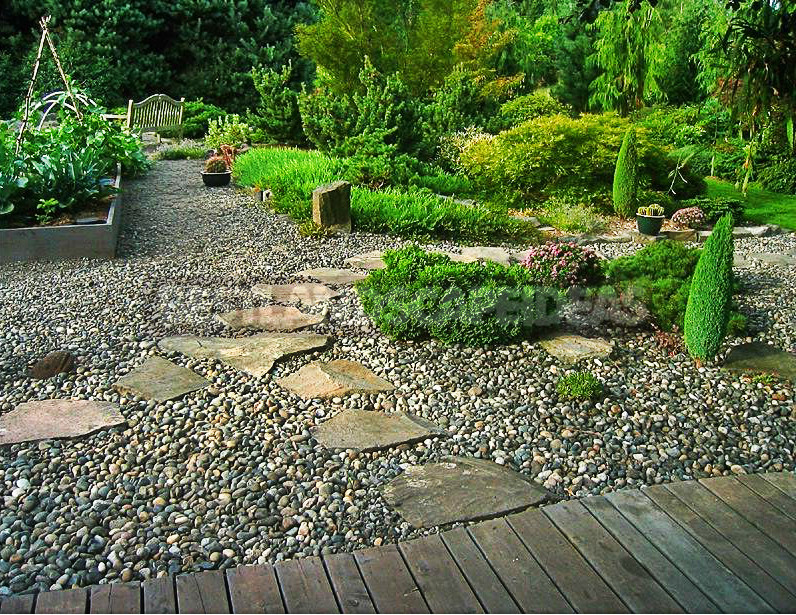 Gravel is an Ideal Material for Creating a Unique Garden