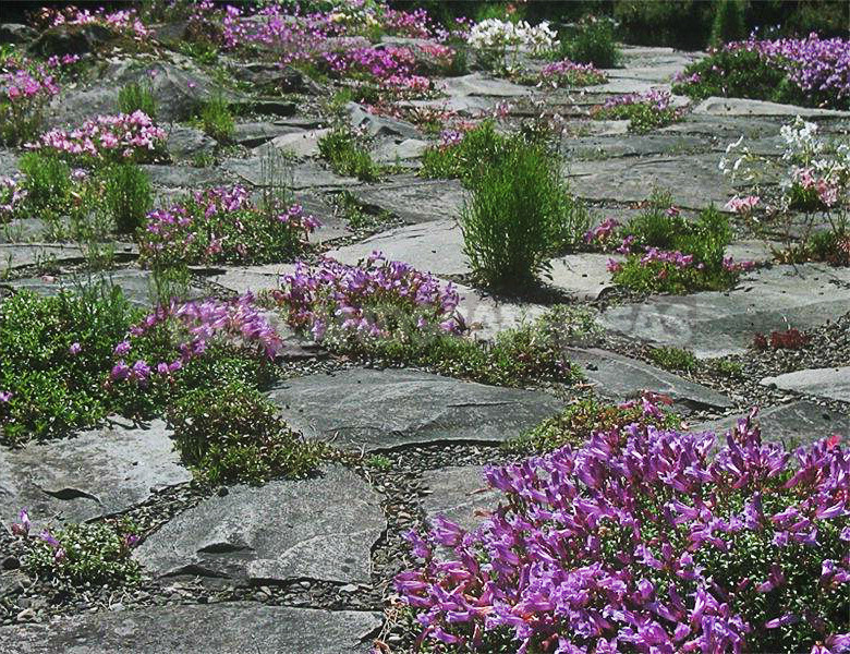 Gravel is an Ideal Material for Creating a Unique Garden