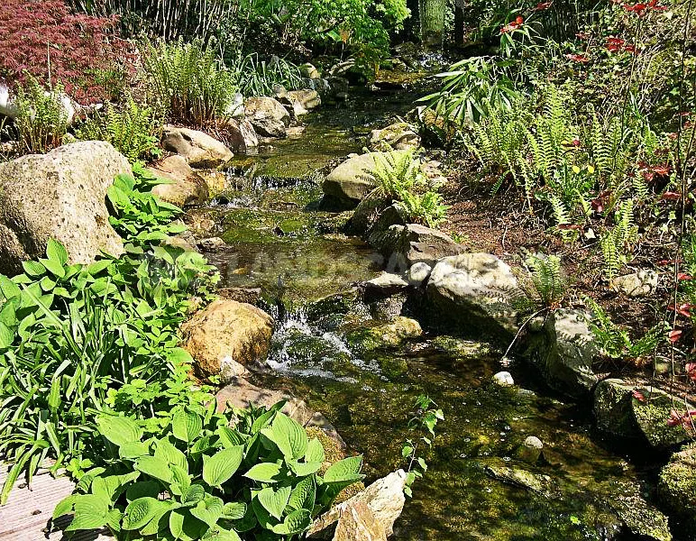 How to Make a Stream in the Suburban Area