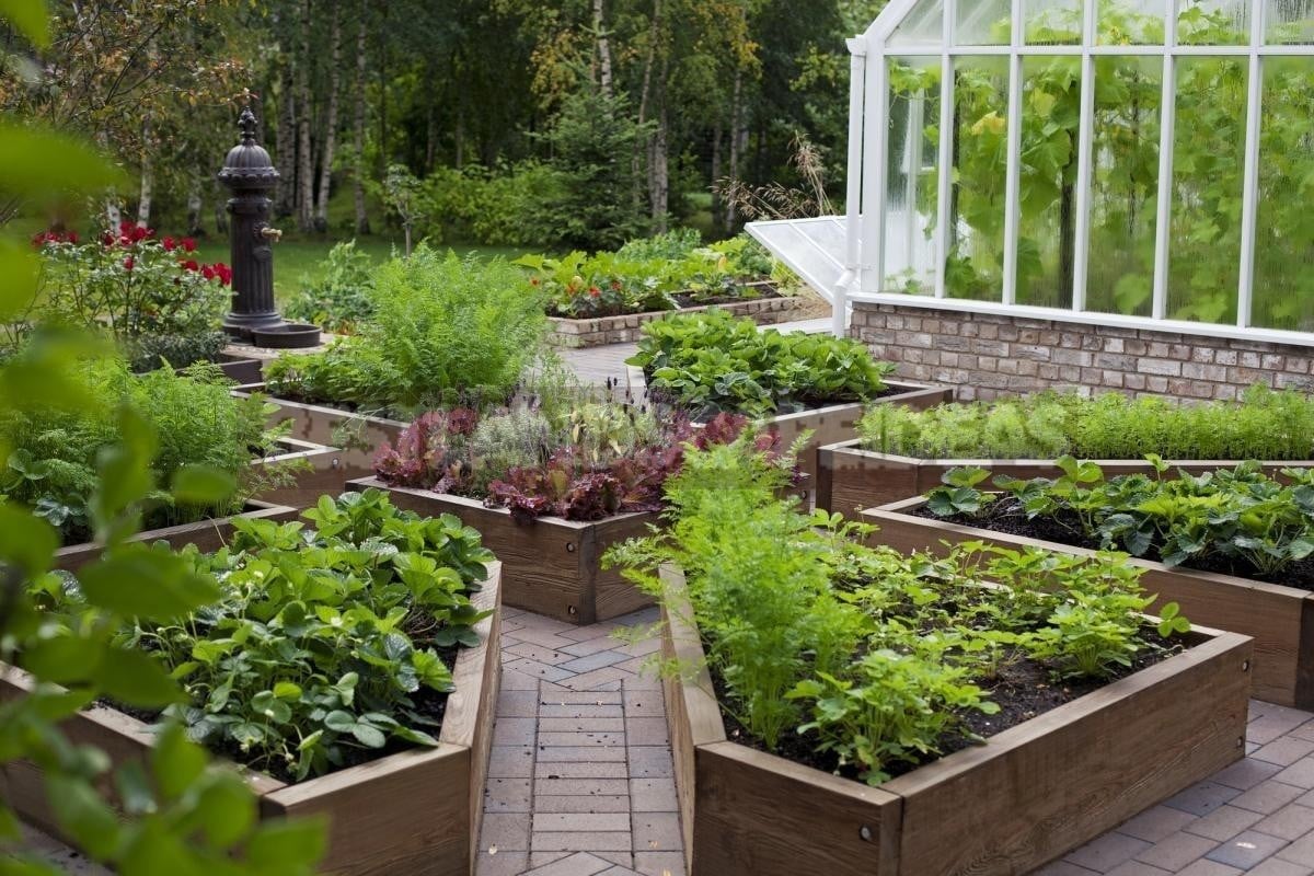 Non-Standard Examples of Kitchen Gardens Design