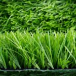 Artificial Lawn