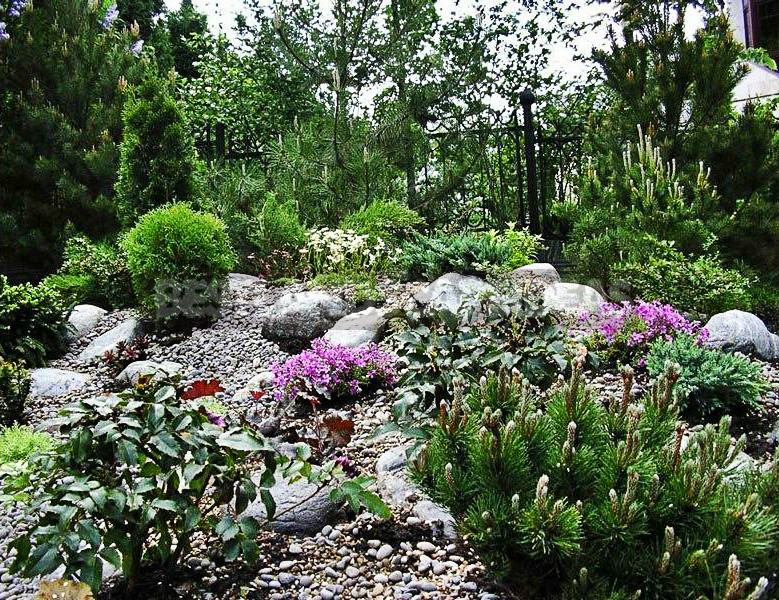 Gravel is an Ideal Material for Creating a Unique Garden