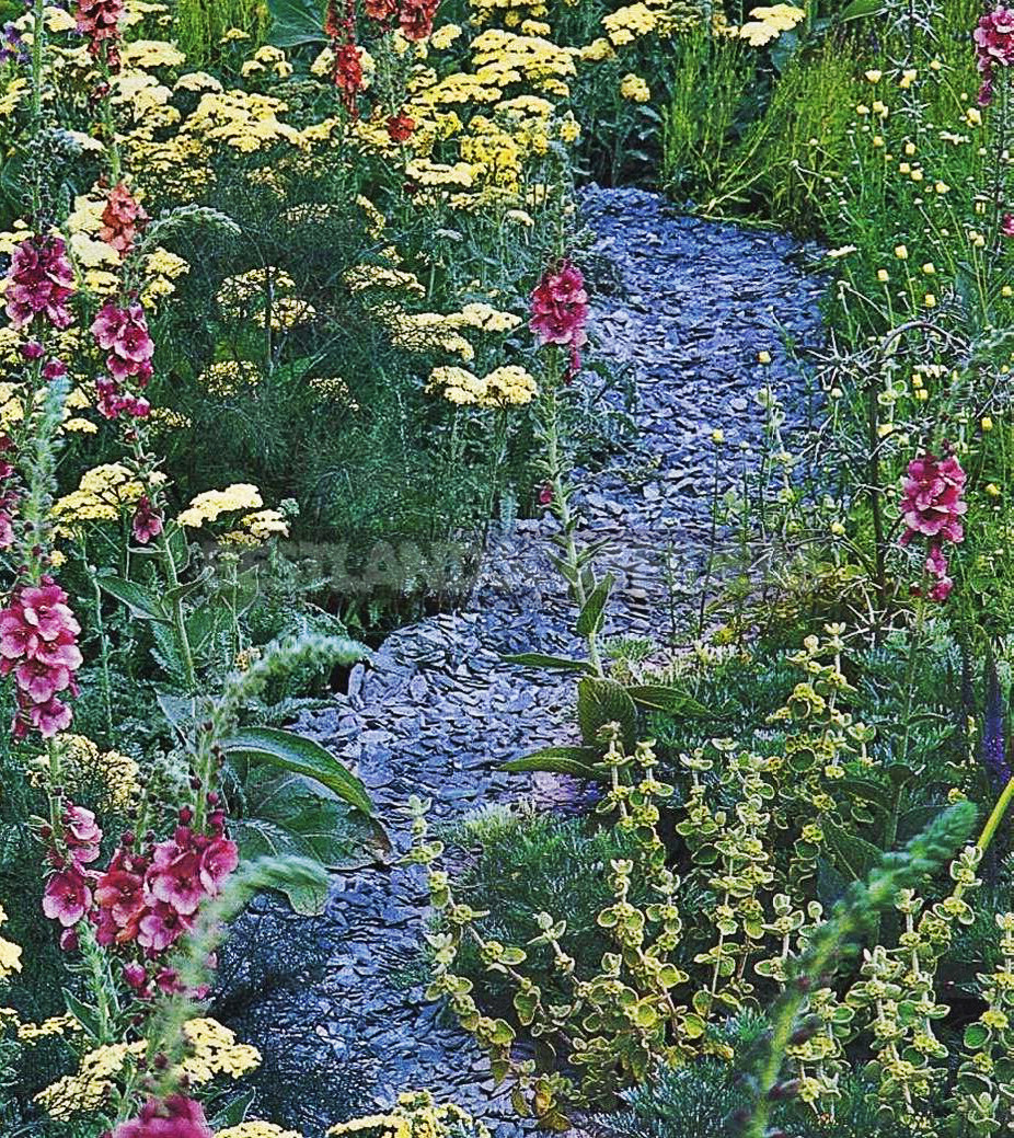 Gravel is an Ideal Material for Creating a Unique Garden