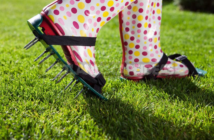 Autumn Lawn Care: What You Need to Do