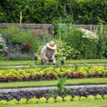 Gardening for Fun
