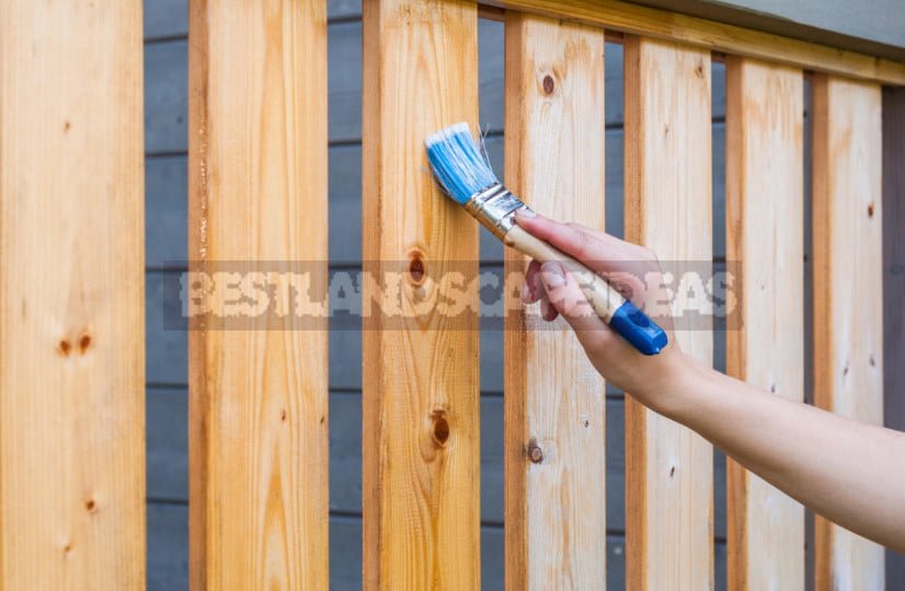 How to Protect Buildings Made of Wood: Choose the Best Antiseptic