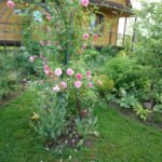 Land in the Valley: What to Plant, How to Plant