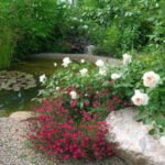 Making Garden Pond Plants (Part 1)