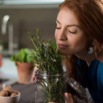 Odors: a Means of Disease Control or a Lever for Manipulation?