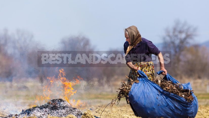 Organic Fertilizers: Choose Useful for the Soil