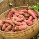 Ipomoea Batatas, Stachys Sieboldii and Polymnia Sonchifolia in Diabetes: Physicians From the Garden