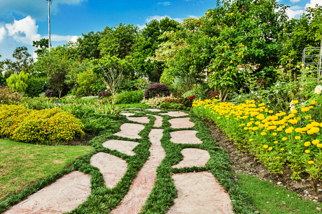 Garden Paths With Their Hands