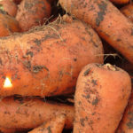 Useful Properties of Carrots