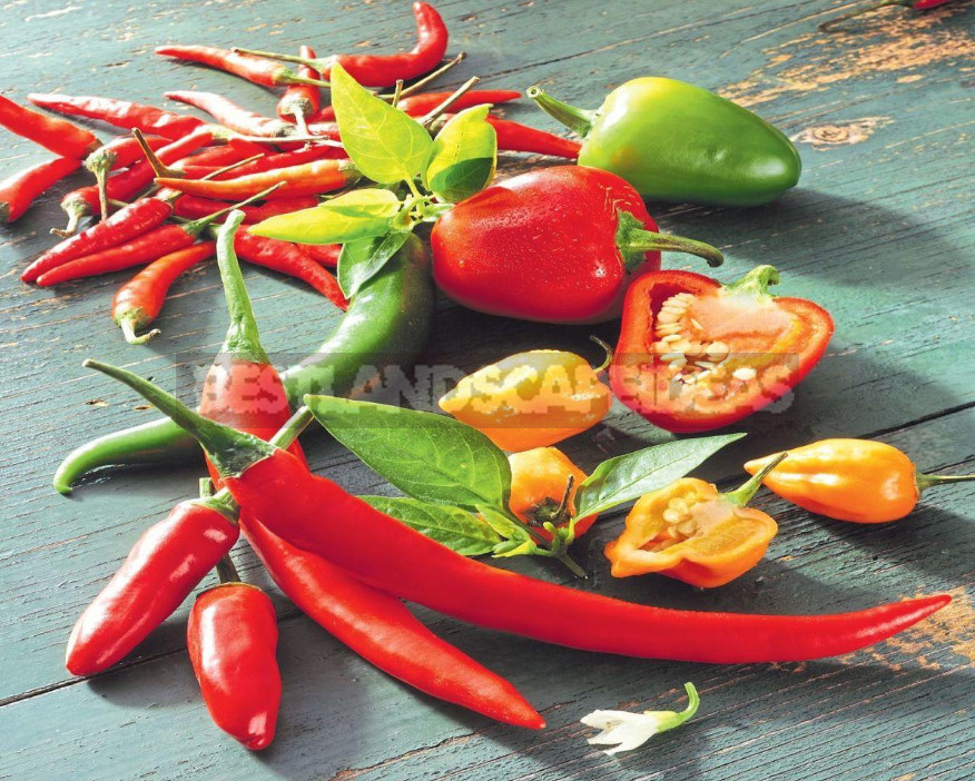 Add Spice: Varieties of Bitter Pepper