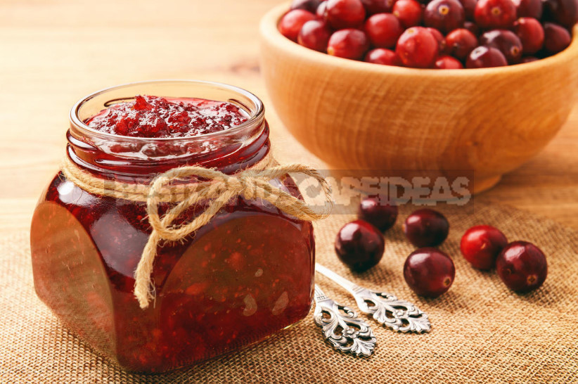 Cranberry: Useful Properties and Contraindications