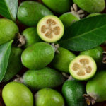 Feijoa — Winter Vitamin Bomb