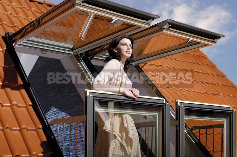 Roof Windows: Ordinary Designs and Amazing Novelties