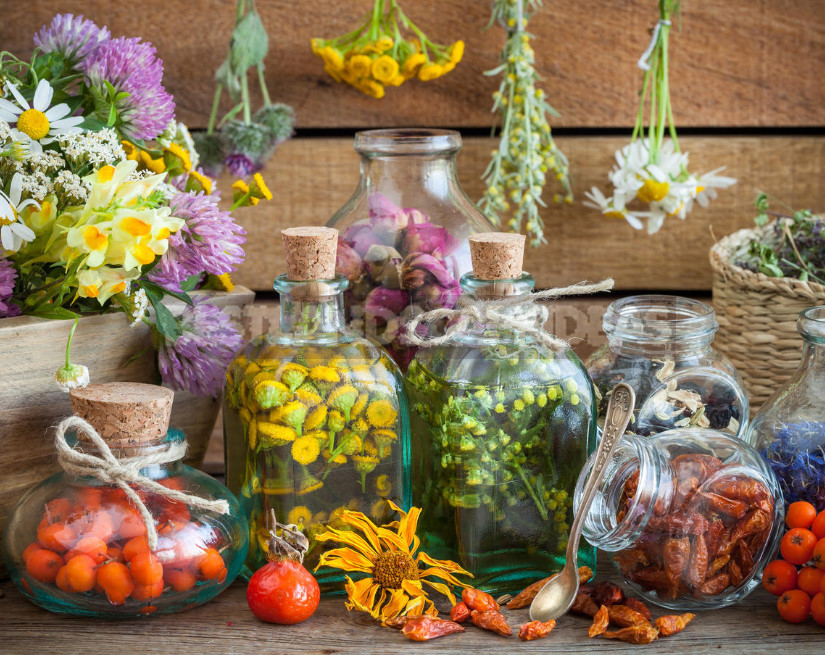 Phytoestrogens for Women in Herbs and Preparations
