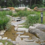 Chinese Garden: Mandatory Elements of Landscape Design