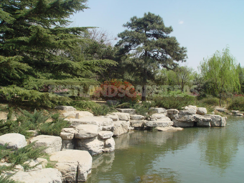 Chinese Garden: Mandatory Elements of Landscape Design