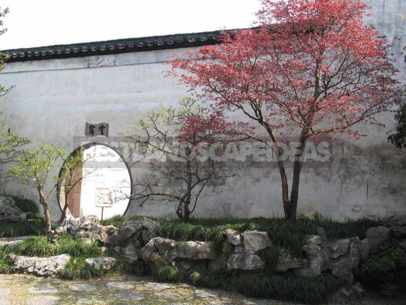 Chinese Garden: Mandatory Elements of Landscape Design
