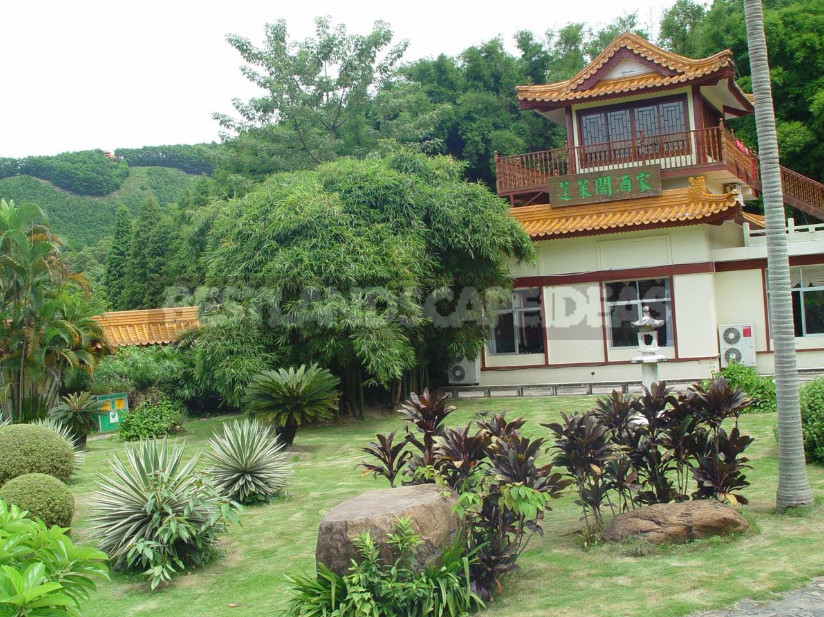 Chinese Garden: Mandatory Elements of Landscape Design