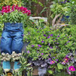 Decorate the Cottage With Your Hands