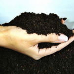 Autumn Soil Treatment