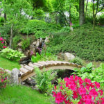 Garden Plot Design