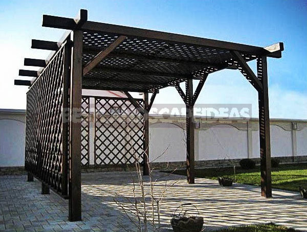 Trellis-Stylish Garden Decoration