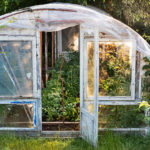 How to Build a Greenhouse With Your Own Hands