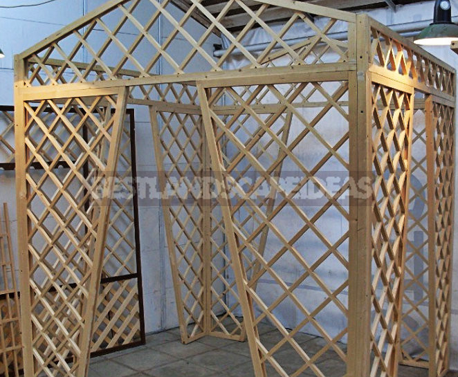 Trellis-Stylish Garden Decoration