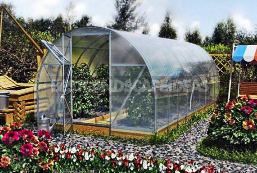 Polycarbonate Greenhouses With Their Hands