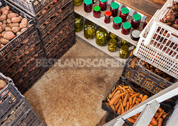 How to Build a Cellar With Your Hands