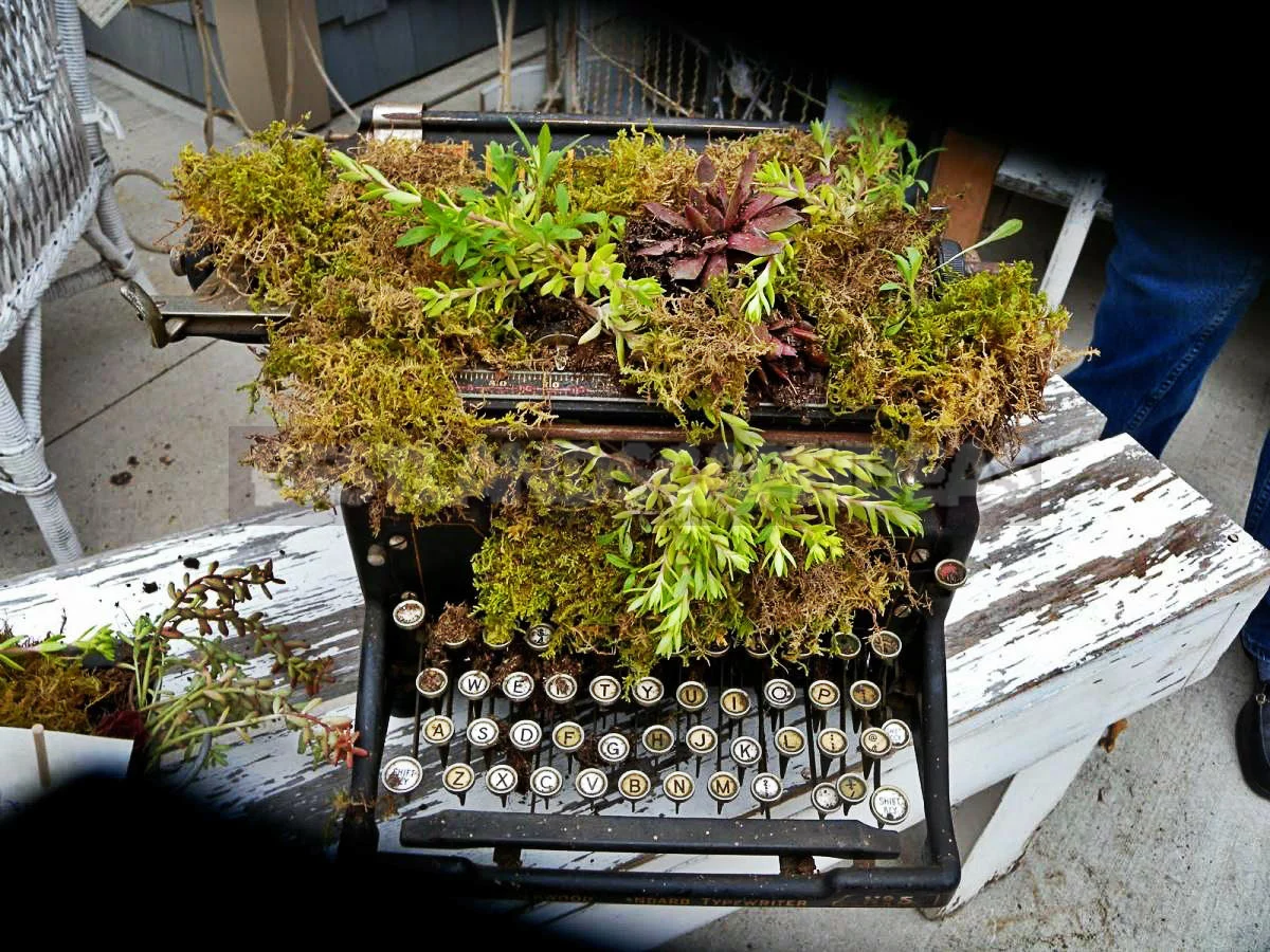 Decorate the Cottage With Your Hands