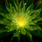 Glowing Plants: Saving on Street Lighting and Stylish Landscape Design