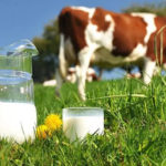 Biodegradable Milk Packaging Will Replace Plastic