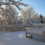 The Garden in Winter: Characteristics of Landscape Design