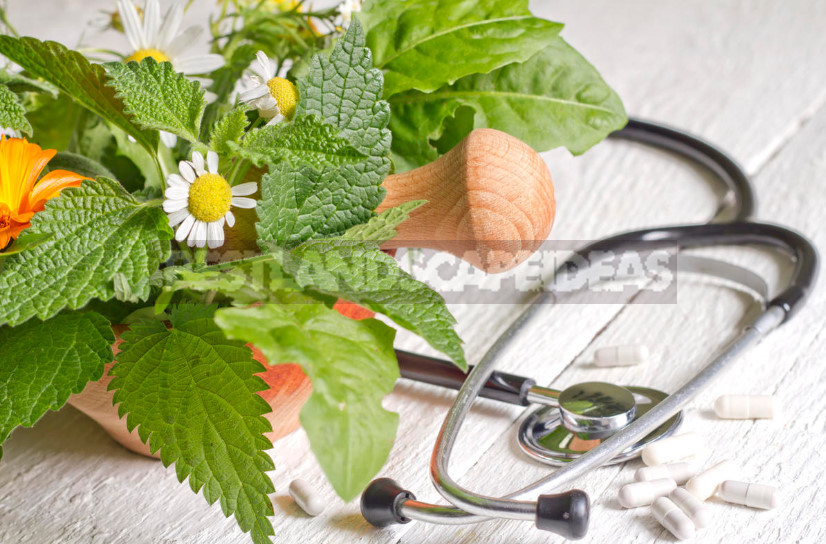 Why Herbal Medicine is Not as Safe as it is Said