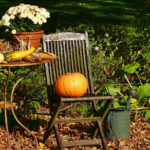Seasonal Work in the Garden: the Third Week of October