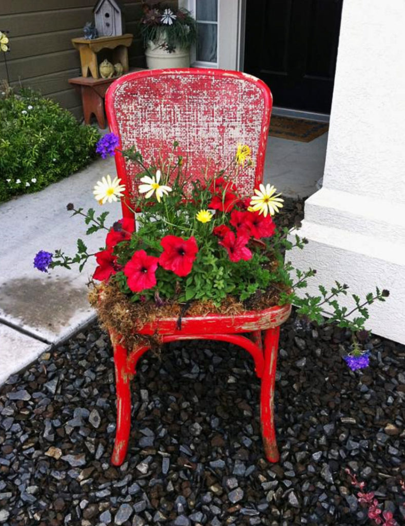 Original Ideas for Your Flower Bed