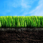 The Natural Perfection of Topsoil