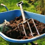 How to Make the Right Compost?